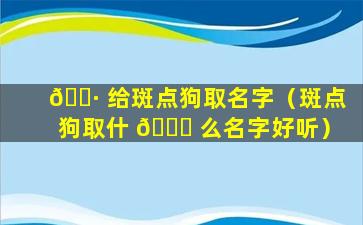 🌷 给斑点狗取名字（斑点狗取什 🐛 么名字好听）